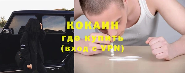 сатива Нязепетровск