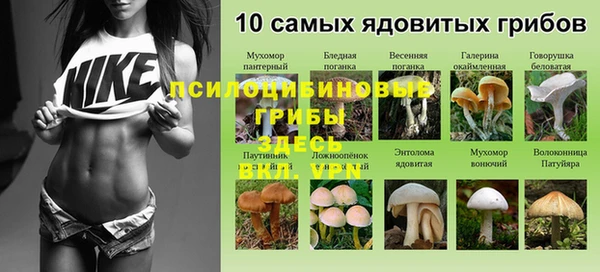 прущая мука Няндома