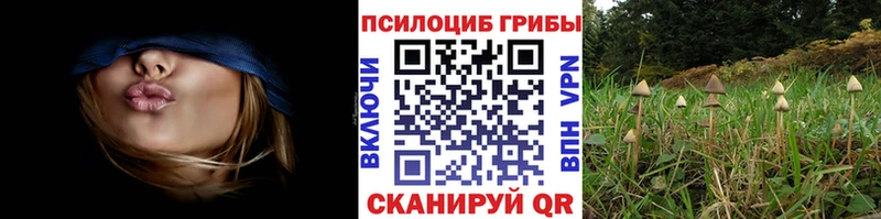 где купить наркотик Харовск Галлюциногенные грибы прущие грибы